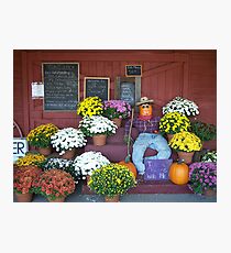 Hick's Orchard Photographic Print