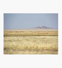 Happy springbock family Photographic Print