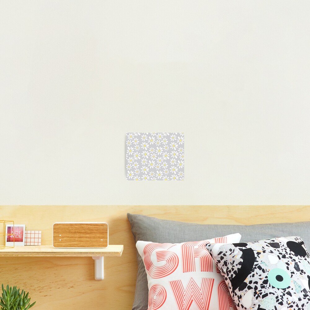 simple daisies on gray Photographic Print