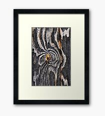 Wood knot .3 Framed Print