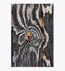 Wood knot .3 Photographic Print