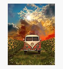 sunflowers Photographic Print