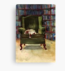 Lienzo Biblioteca de Monkey