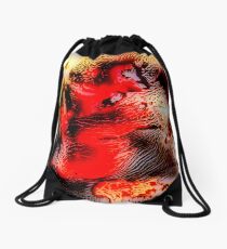 Manipulated SX70 Drawstring Bag