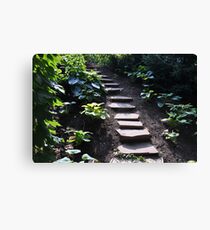 Up the stony path Canvas Print