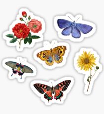 Summertime Sticker Set Sticker