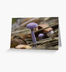 Purple Persistance Greeting Card
