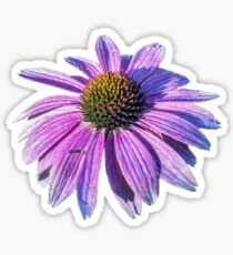 Coneflower Sticker