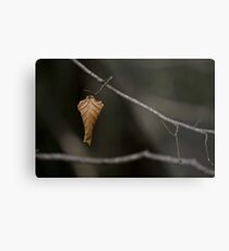 About to drop. Metal Print