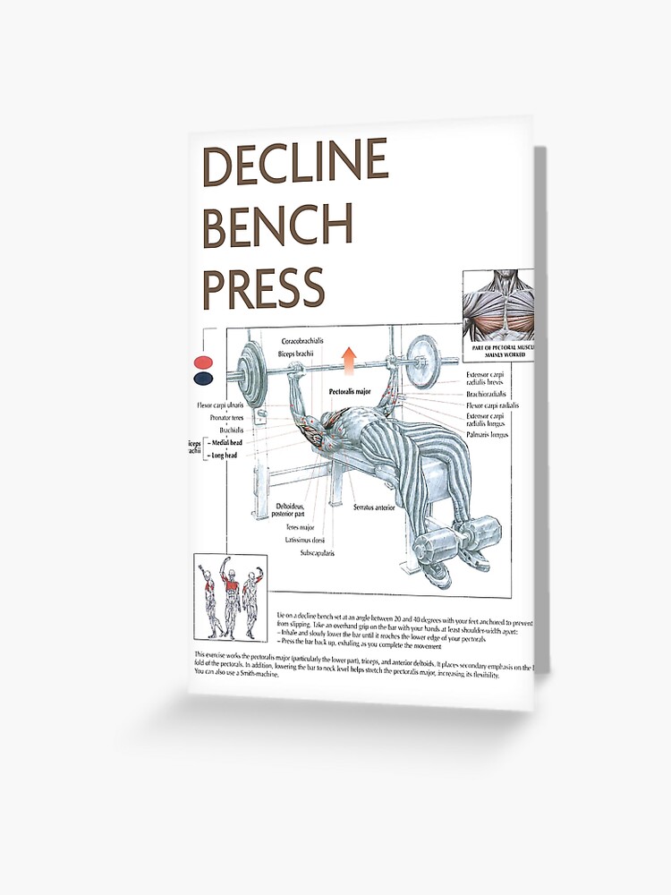 Decline Bench Press Exercise Diagram Greeting Card By