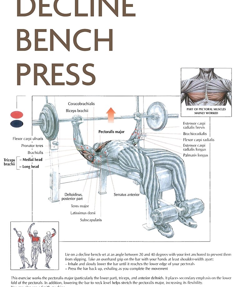 Decline Bench Press Exercise Diagram Ipad Case Skin By