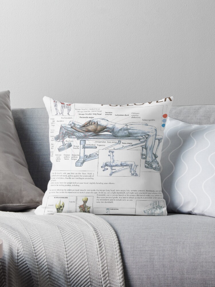 Dumbbell Pullover Exercise Diagram Throw Pillow By
