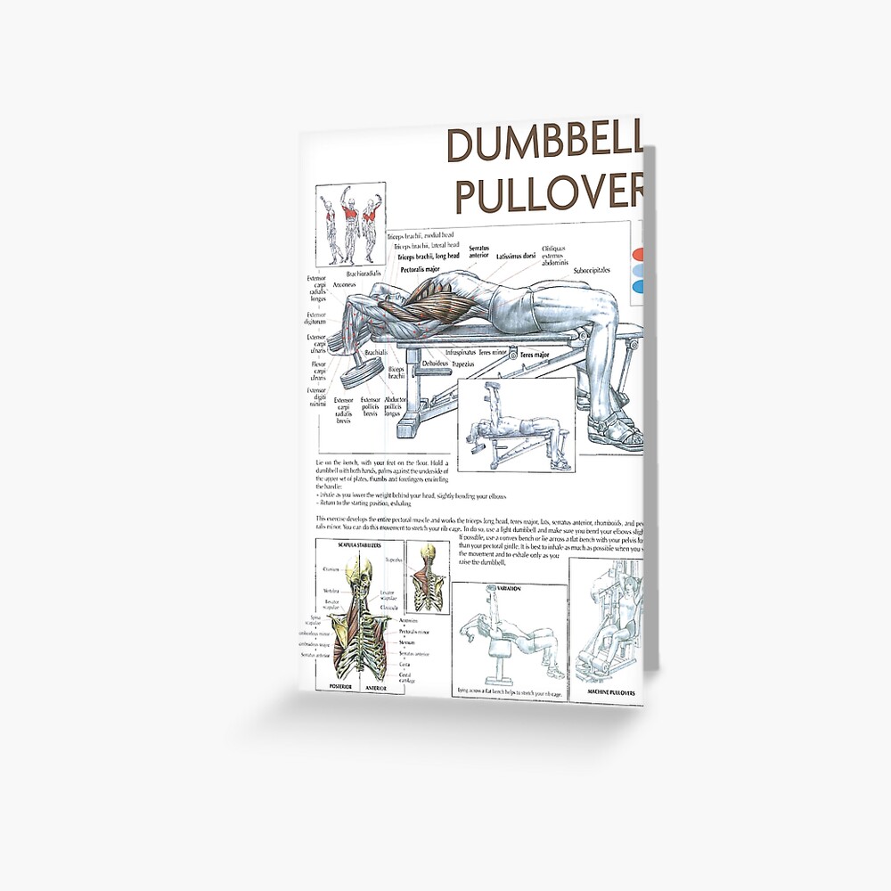 Dumbbell Pullover Exercise Diagram Greeting Card