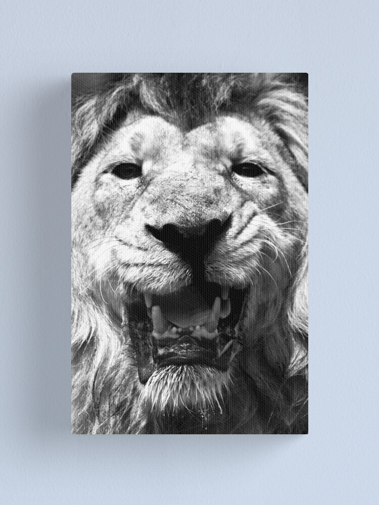 Alternate view of Ashok in Monochrome Canvas Print