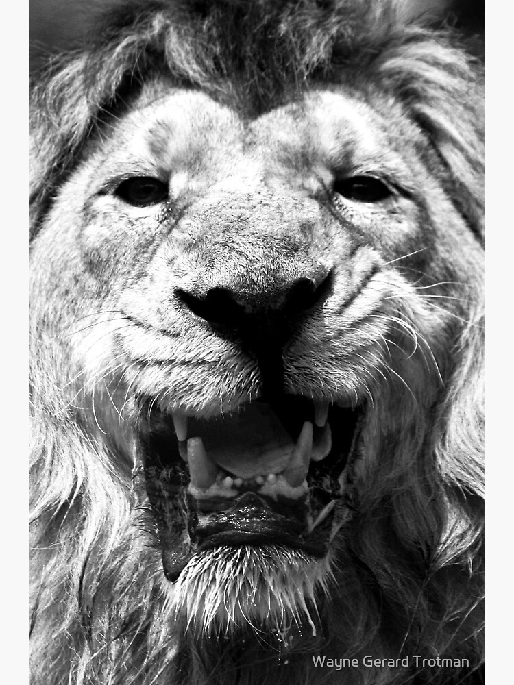 Ashok in Monochrome by redmoondragon