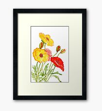 red and yellow poppies Framed Print