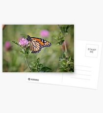 GOLD WING Postcards