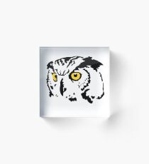 owl Acrylic Block