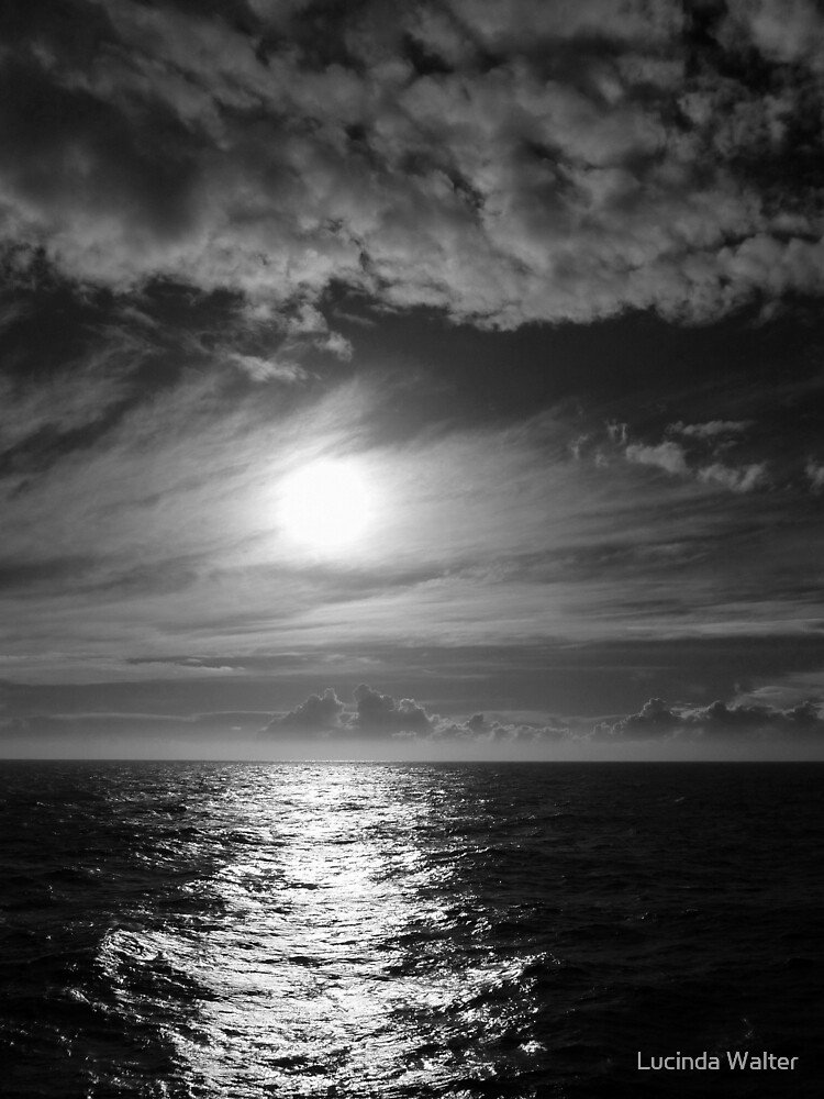 "Ocean Sunset in Black & White" by Lucinda Walter Redbubble