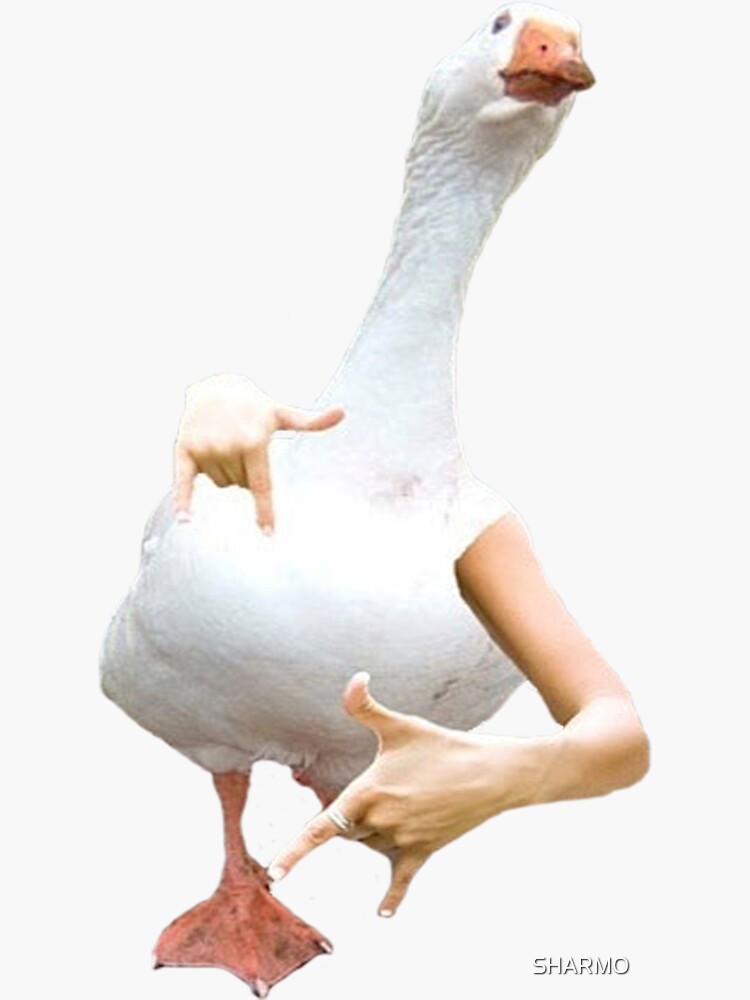 "Duck Hands" Sticker by SHARMO Redbubble