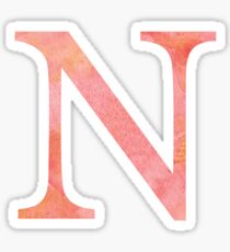 Peach Watercolor Ν Sticker