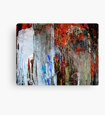 Uncontained - II Canvas Print
