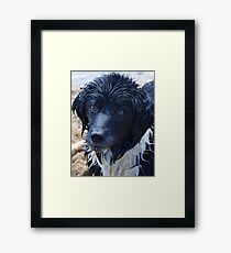 A lovely girl Framed Print