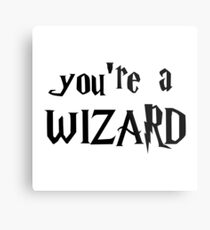 You're a wizard. Metal Print