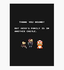 Thank You Hound! Photographic Print