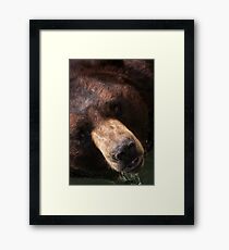 Winnie The Pooh Framed Print