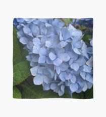 Water droplet blue hydrangea Scarf