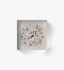 Geo-rex Vortex | Rosenquarz Acrylblock