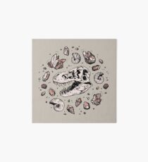Geo-rex Vortex | Rose Quartz Impression rigide