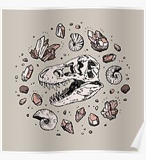 Geo-Rex Vortex | Rosenquarz Poster