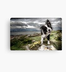Border Collie Oil Painting Canvas Print