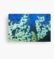 Sea Floor Canvas Print