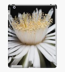Crown iPad Case/Skin