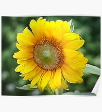 SUNFLOWER FRACTALIUS Poster