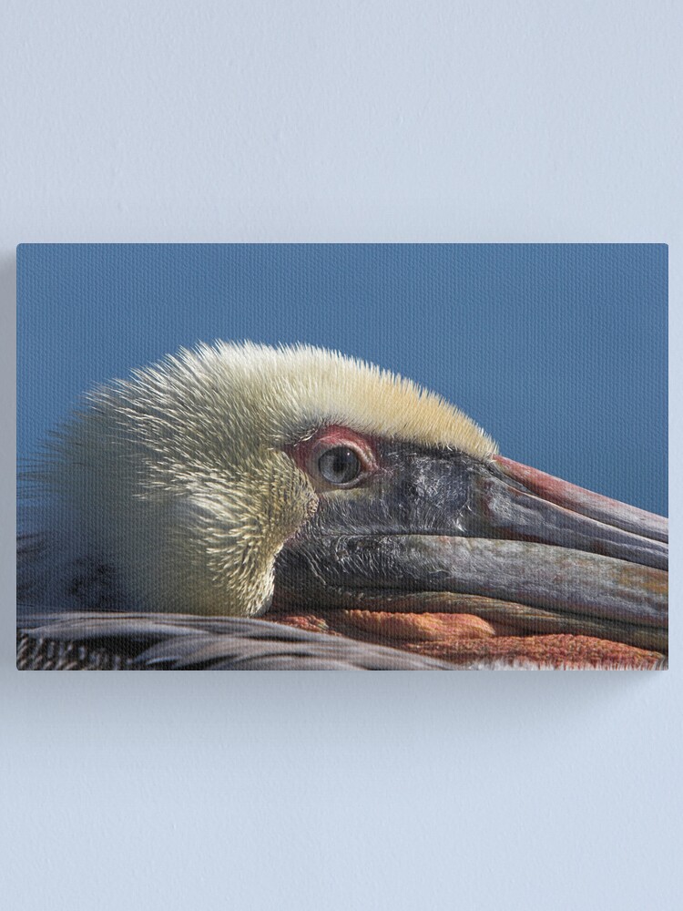 Alternate view of Keeping an Eye Out Canvas Print