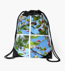 Rosehips - Polyptych Drawstring Bag