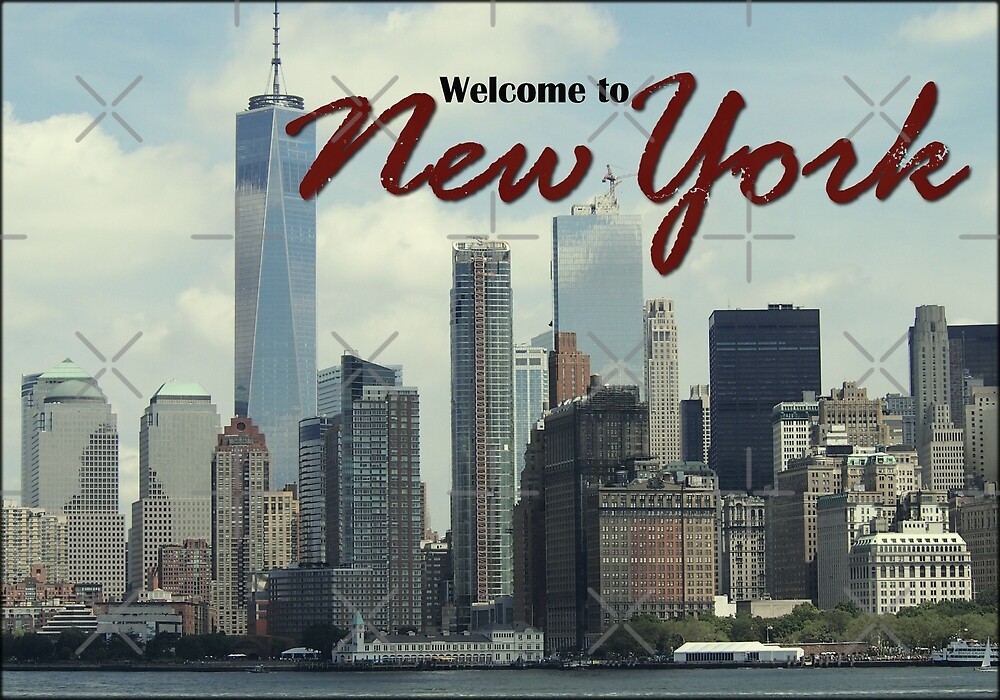 welcome to the new york city