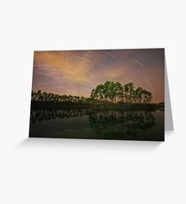 Long Pine Night Greeting Card