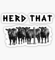 Herd That Black Angus Cows Sticker