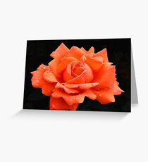 Rose With Rain Greeting Card