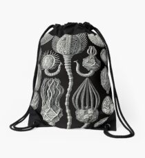Crinoids by Haeckel Drawstring Bag