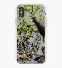 Australian Spotted Crake iPhone Case