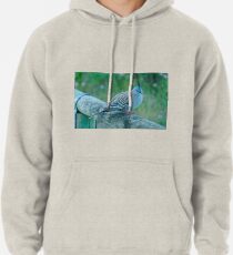 Crested Pigeon Pullover Hoodie
