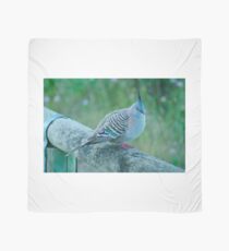 Crested Pigeon Scarf