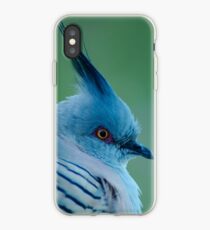 Crested Pigeon iPhone Case