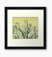 Winter Trees - Yellow Framed Print